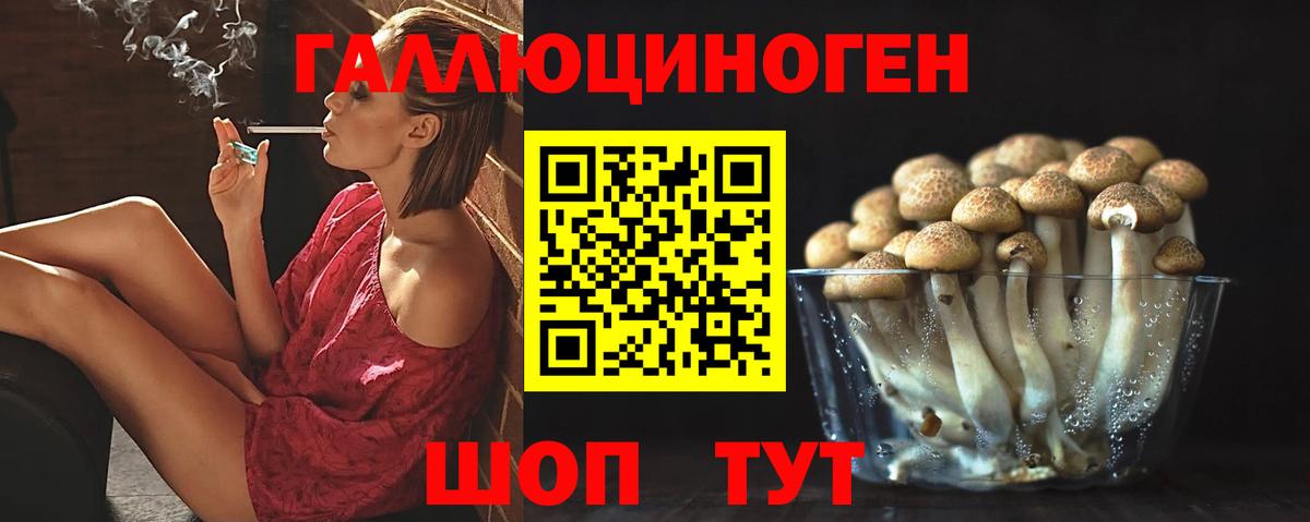 Псилоцибиновые грибы Cubensis  хочу   Дивногорск  Псилоцибиновые грибы Psilocybine cubensis  Вход с VPN 